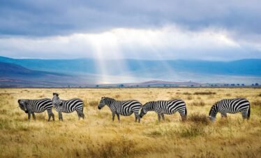 Kenya